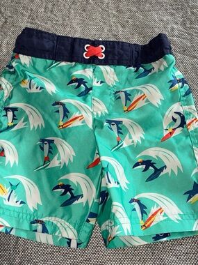 Cat & Jack Turquoise Surf Dolphin Print Swim Shorts with Navy Waist